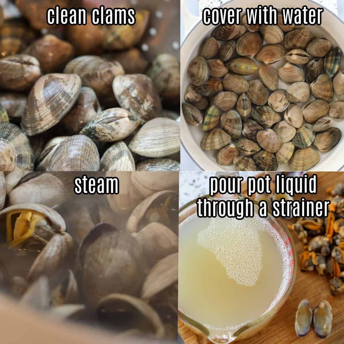 Clam Juice Recipe (BEST Easy Method!) Whole Lotta Yum