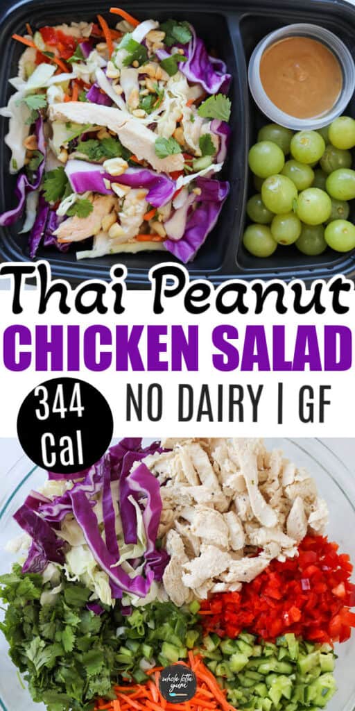 https://wholelottayum.com/wp-content/uploads/2022/10/thai-salad-with-chicken-2-512x1024.jpeg