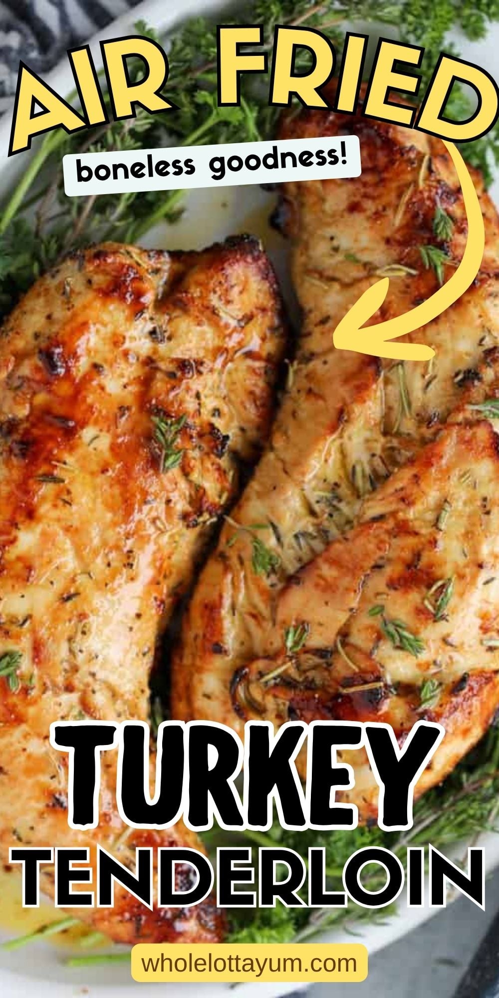 Air Fryer Turkey Tenderloin Pinterest pins