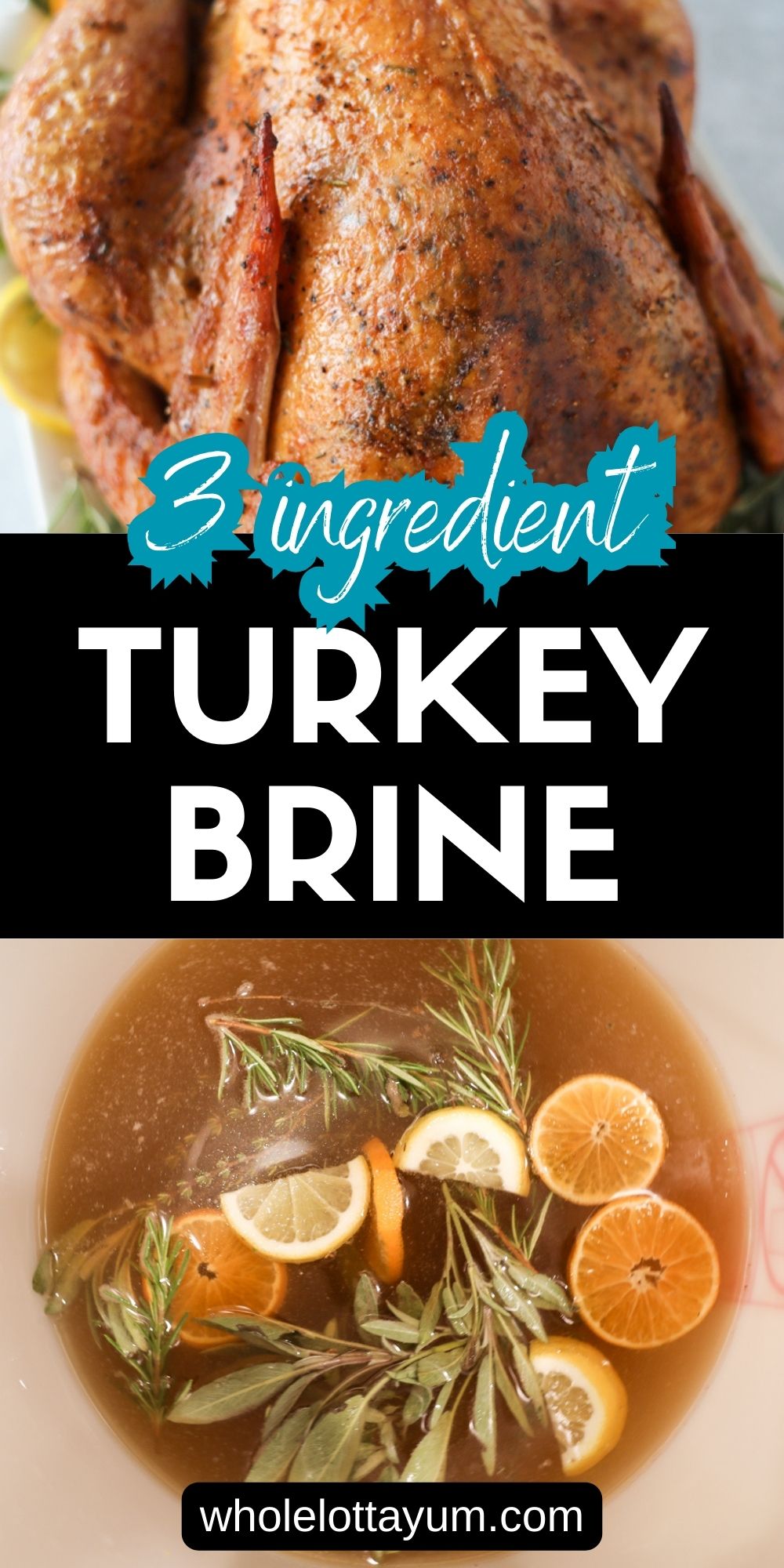 Simple Turkey Brine Whole Lotta Yum