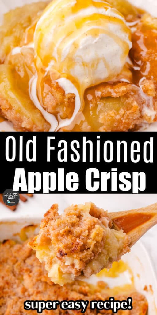 easy apple crisp without oats recipe for the best dessert