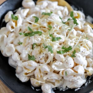 close up of cottage cheese alfredo with high protein pasta shells garnished with parmesan cheese and fresh basil
