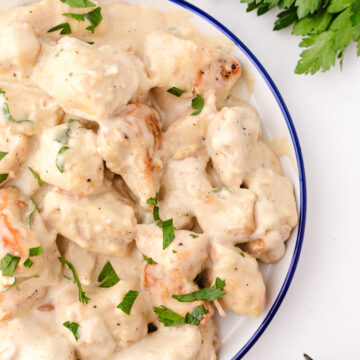 high protein chicken alfredo using chicken cubes on a white plate with a blue trim