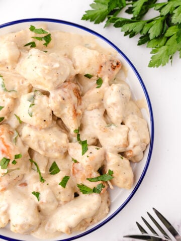 high protein chicken alfredo using chicken cubes on a white plate with a blue trim