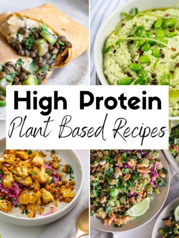 High Protein Plant Based Recipes