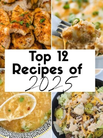 top recipes of 2025 collage for whole lotta yum