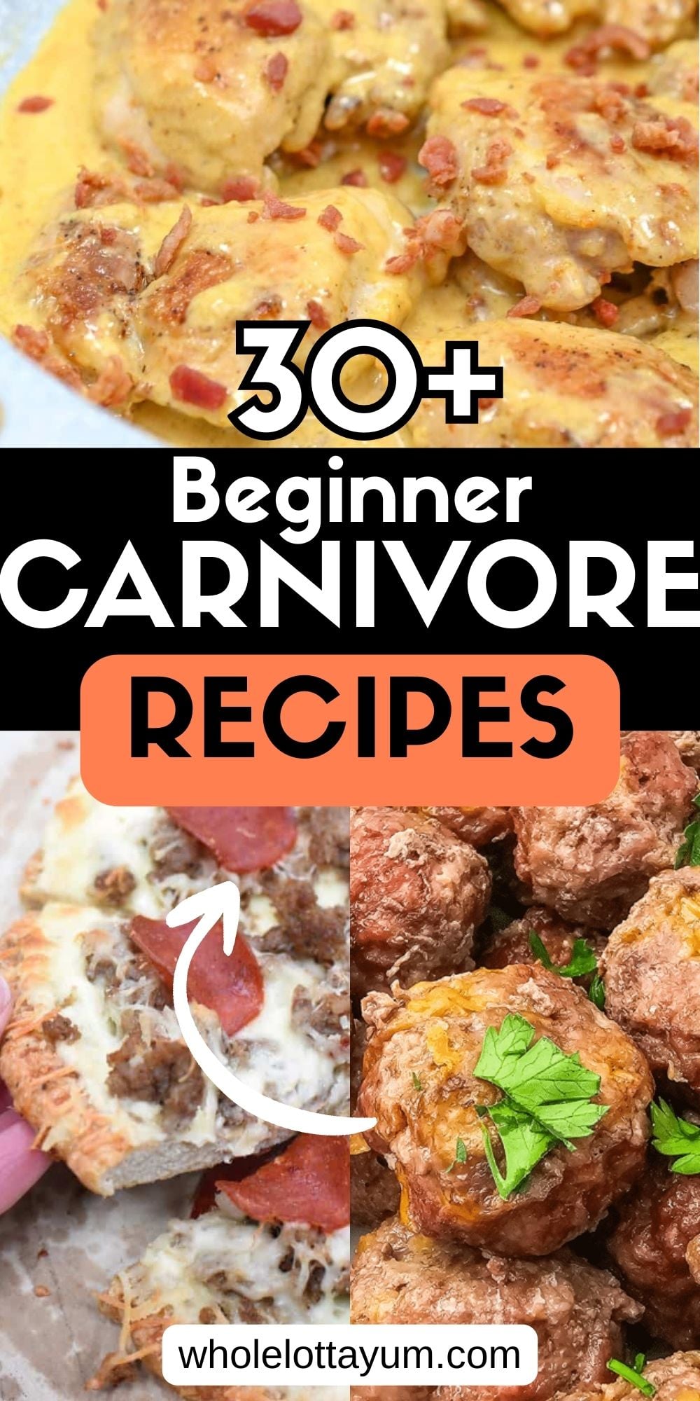 Carnivore Diet Recipes
