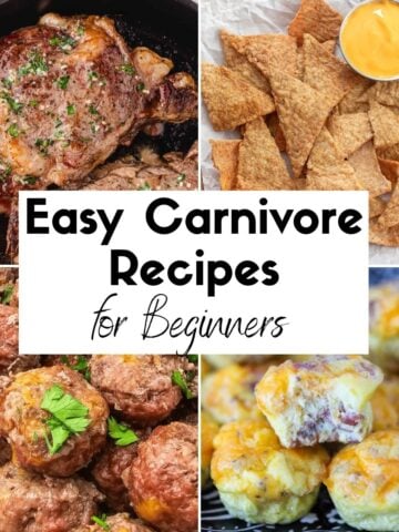Easy Carnivore Recipes for Beginners