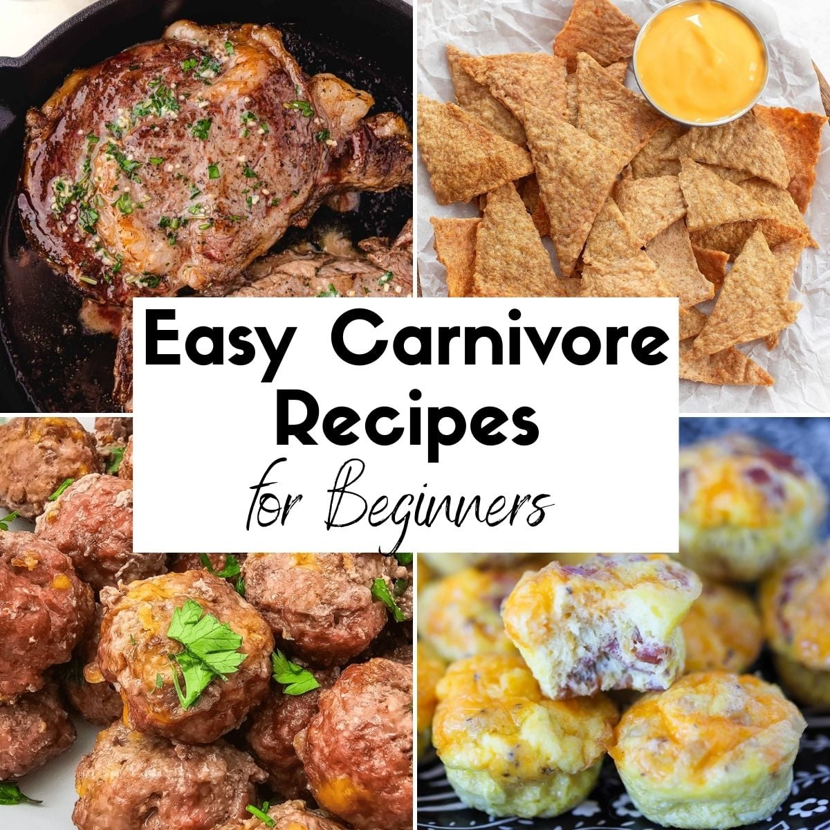 Easy Carnivore Recipes for Beginners