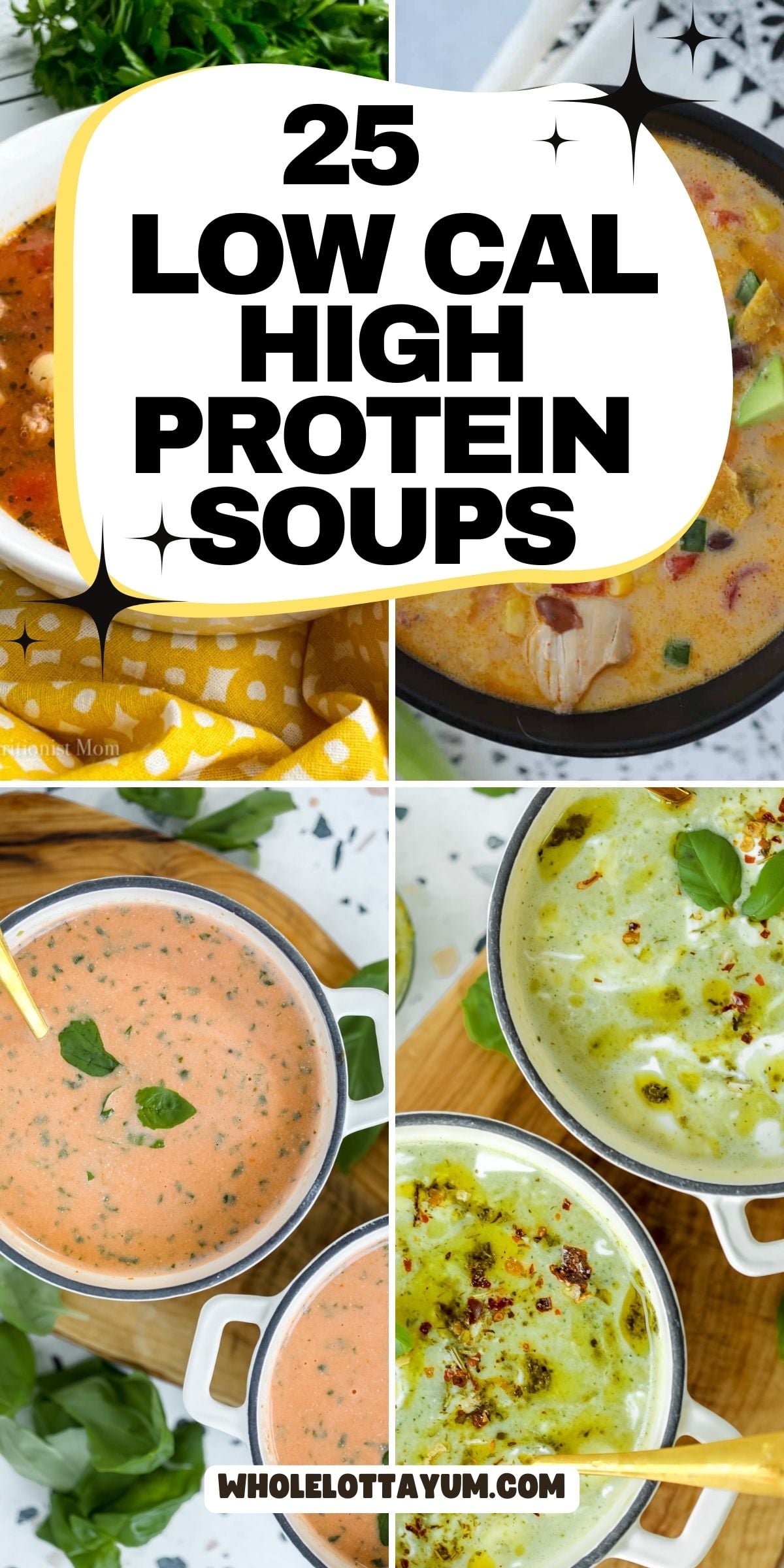 Low Calorie High Protein Soups