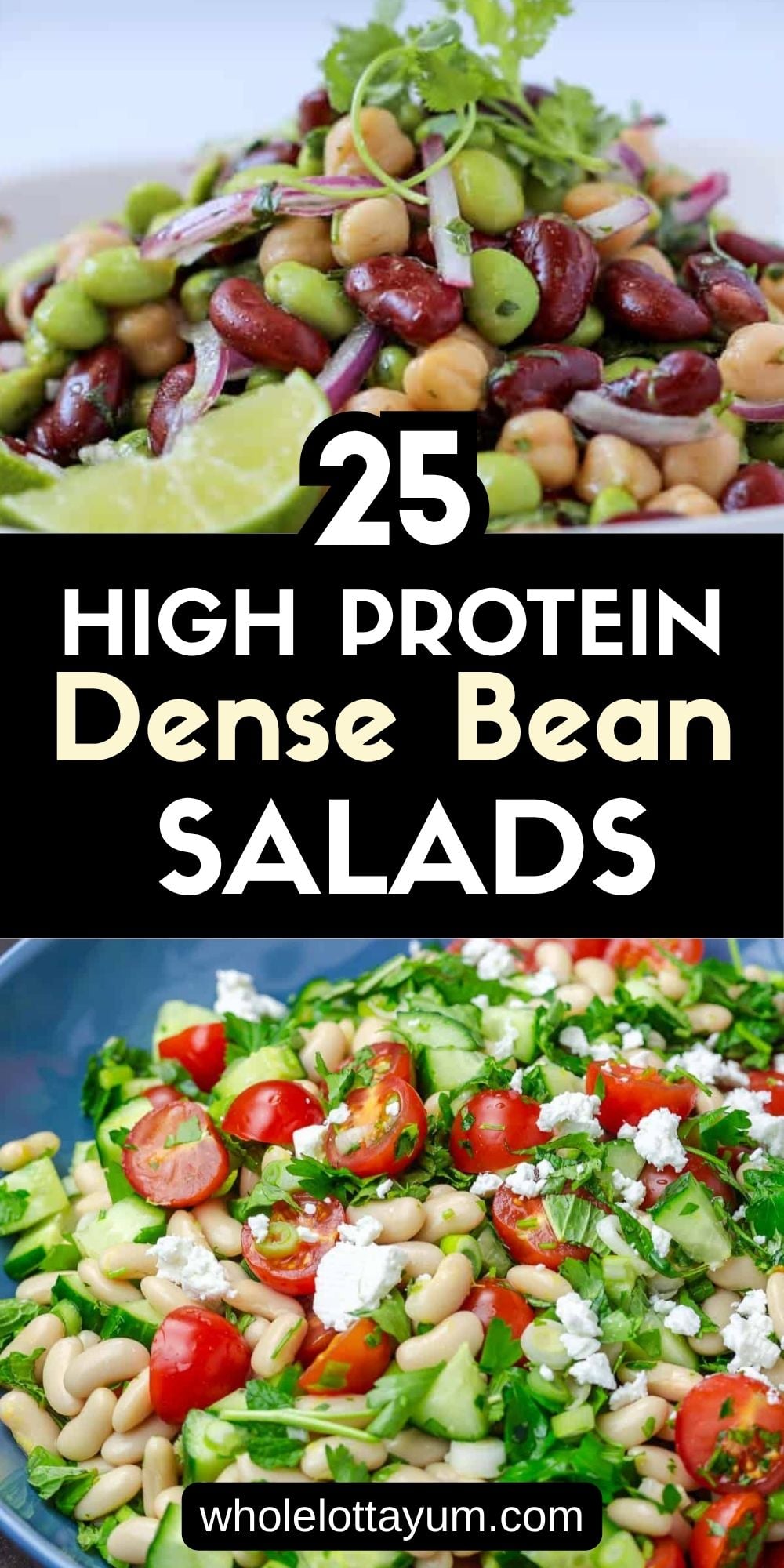 Dense Bean Salad Recipes