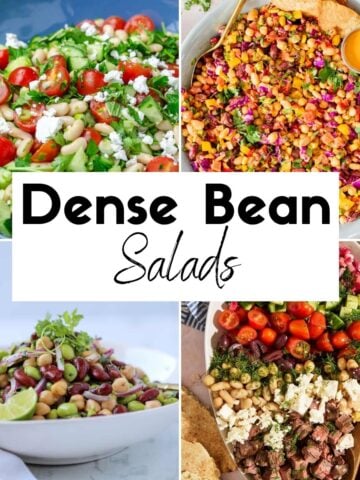 Healthy Dense Bean Salads