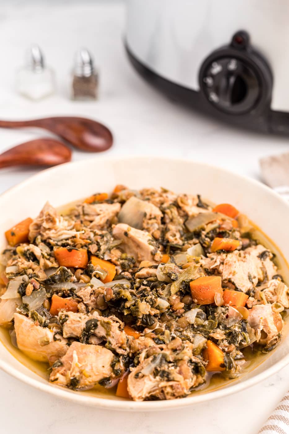 Slow Cooker Chicken Stew with Lentils